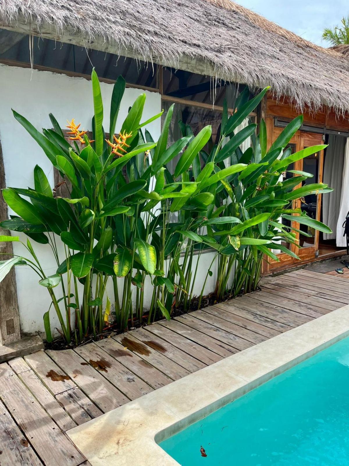Musa Bintang Villas And Bungalows Gili Air Esterno foto
